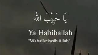 STORY WA 30 DETIK - YA ROSULALLAH YA HABIBALLAH