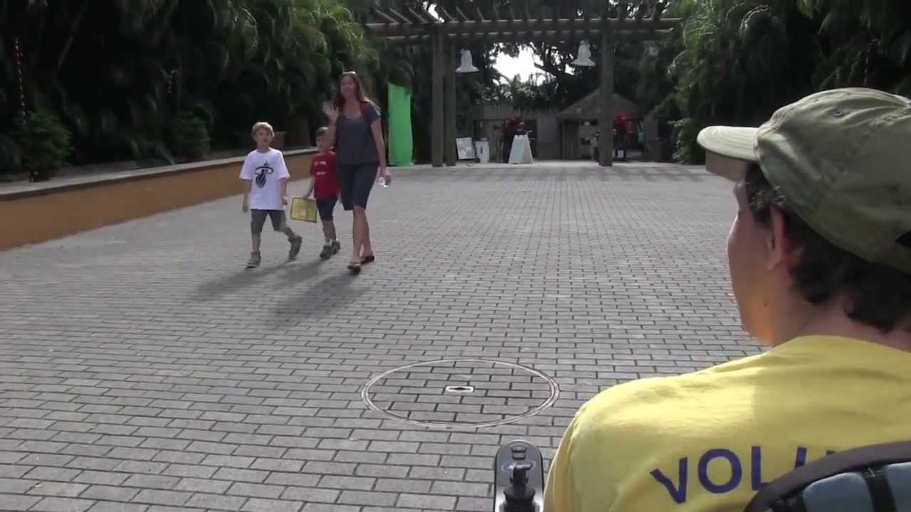 Volunteering at the Palm Beach Zoo & Conservation Society