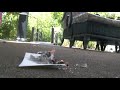 End of video