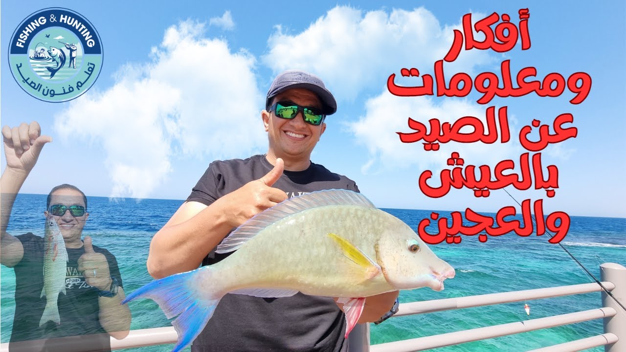 أفكار ومعلومات عن الصيد بالعيش والعجين