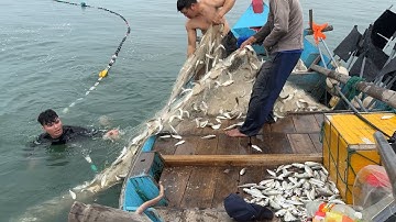 Nghề Vây Xăm Cá Đù Gần Bờ,Mắt Phải Sáng Như Sao Mới Nhìn Thấy Cá - Dân Biển