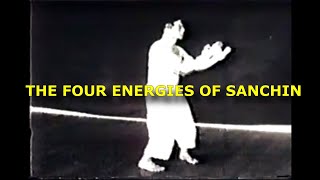 The Four Energies Of Sanchin  Spit Sink Swallow Float