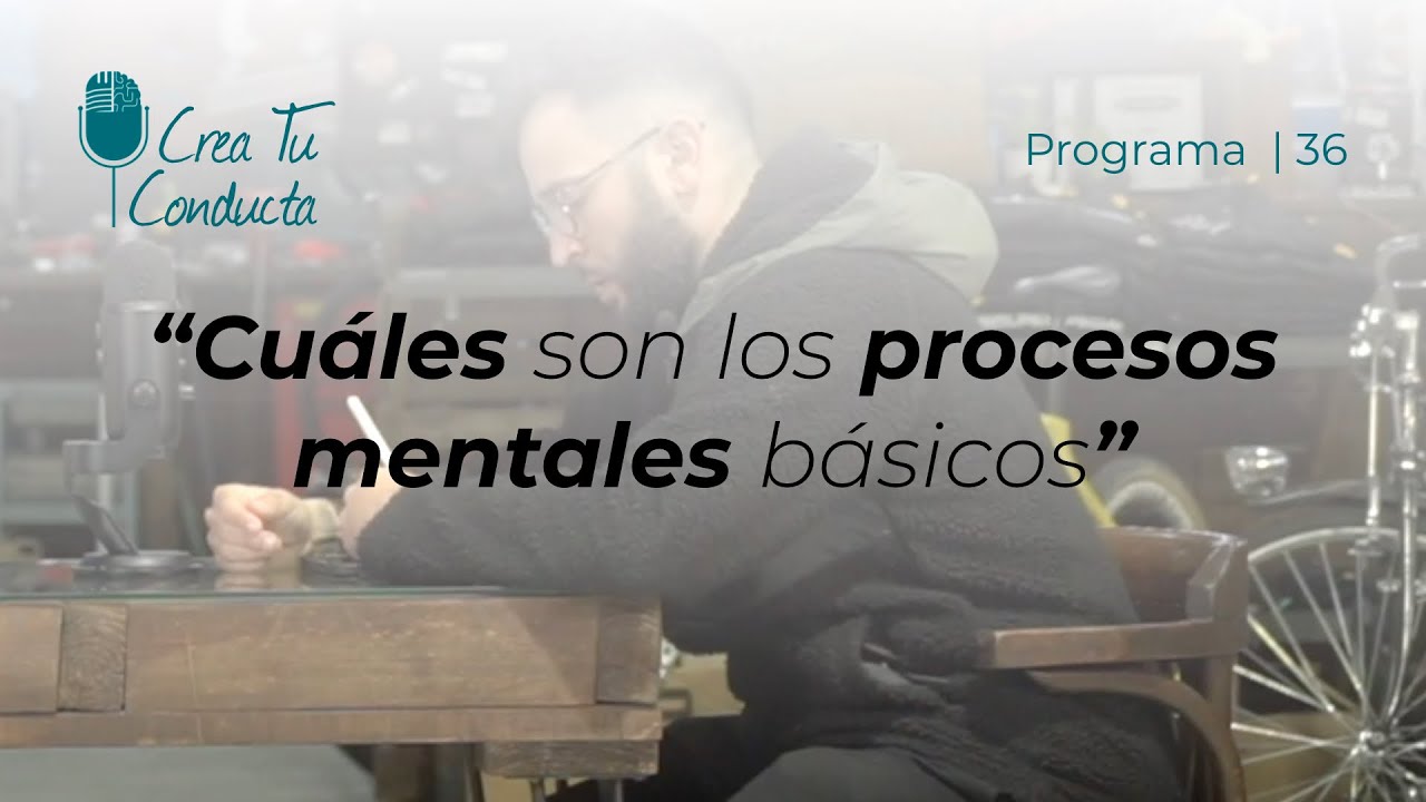 Cuáles son los procesos mentales básicos