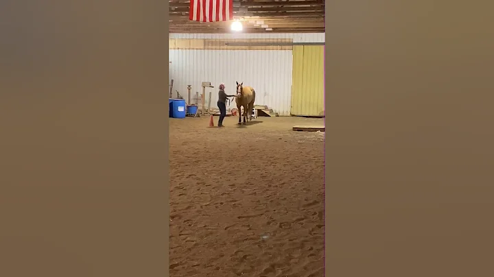 Marie Lynn Wieland & Winchester Dixon JACKPOT Show...