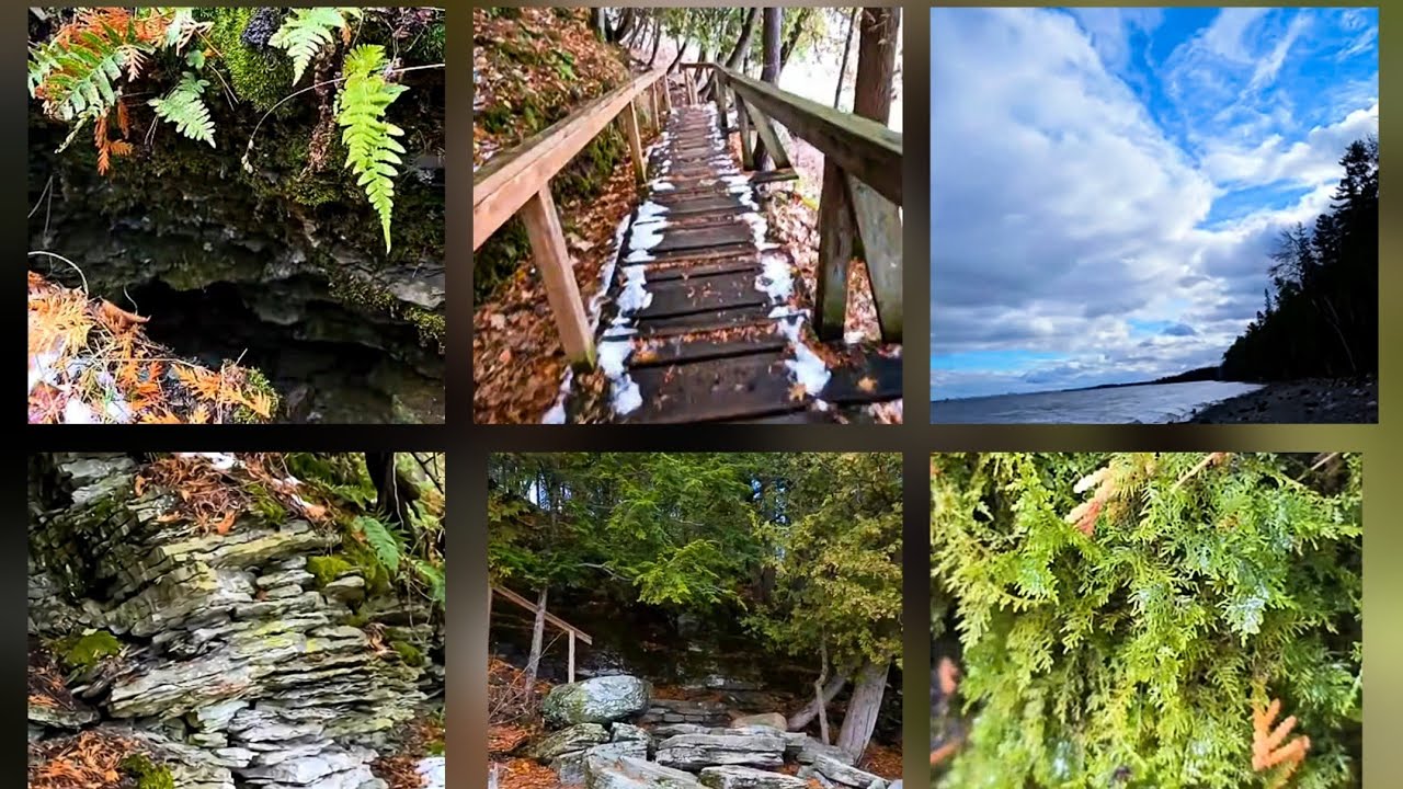 Plant Addicts Tips is live!