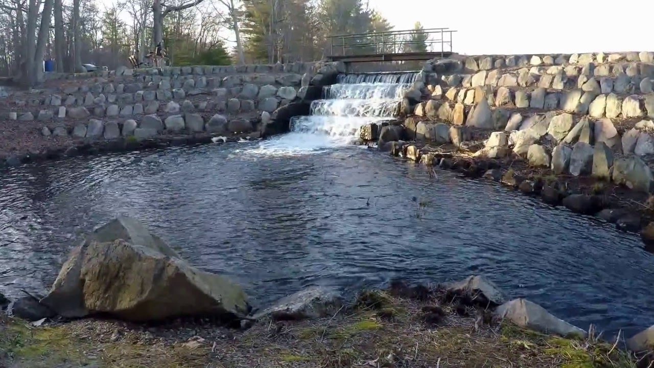 D W Field Park in Brockton Ma YouTube