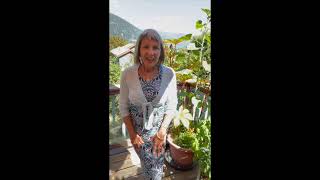 Superstitions VS Facts about Feng Shui