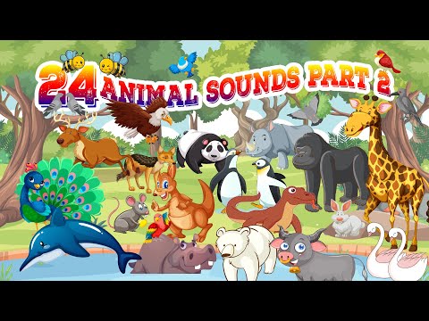Animal Sounds Part 2 24 Animals With Their Sounds 