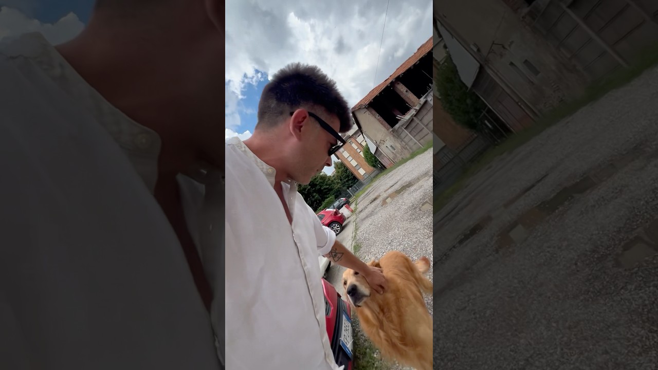 Trovo cane in mezzo alla strada…