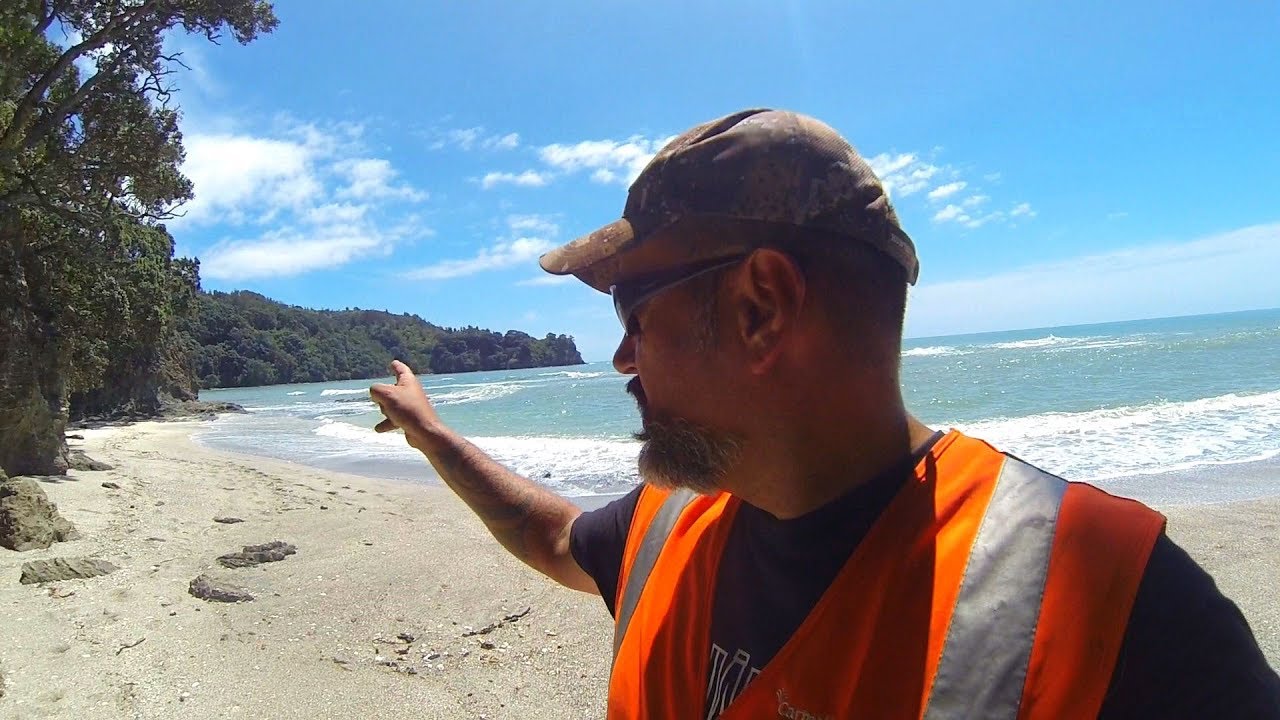 Best Work Office View Ever new zealand currency