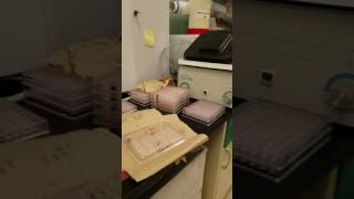 Microbiology, running a Gram negative MicroScan plate Profile