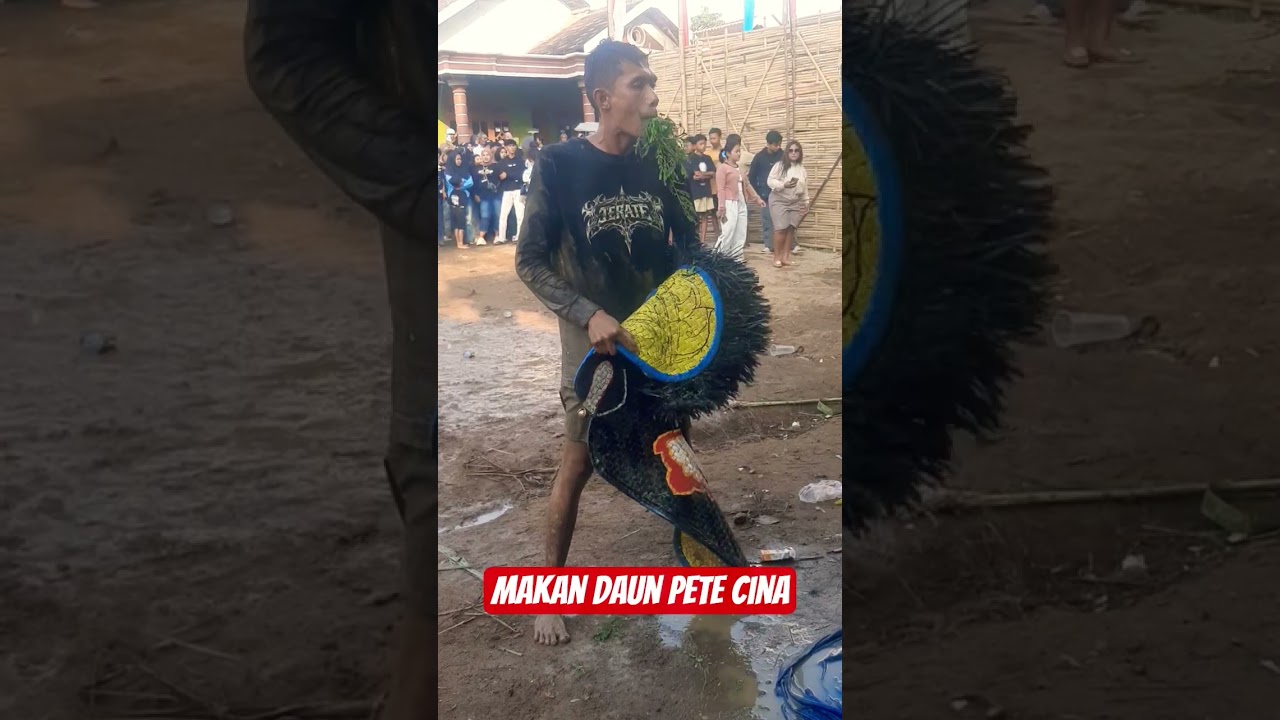 makan daun pete cina #shorts #makan #jaranan
