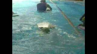 990722頌安、頌慈游泳2.wmv