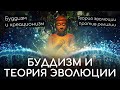 Теория эволюции и буддизм. Теория эволюции против религии. Буддизм и креационизм. Эволюция и буддизм