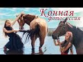 БЕКСТЕЙДЖ-ВЛОГ🐴 Фотосессия с лошадьми / Конная прогулка