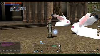 Interface Interlude Essence Style 2024