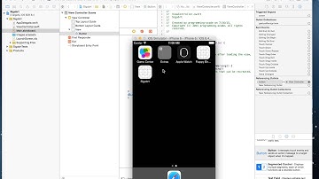 iOS Swift Xcode: Advanced Debuging Tricks: debugger command: po $arg1