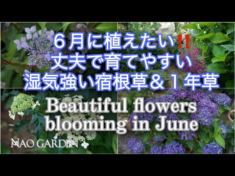 6月に始める花粉媒介者を守る5つの方法