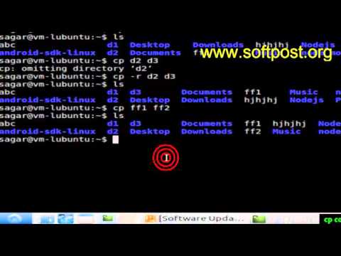 cp command in Arch Linux