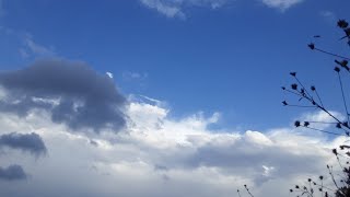 İnek güdme./Sohbet./Ss almak isteyenler için manzara.