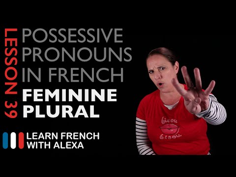 French Feminine Plural Possessive Pronouns