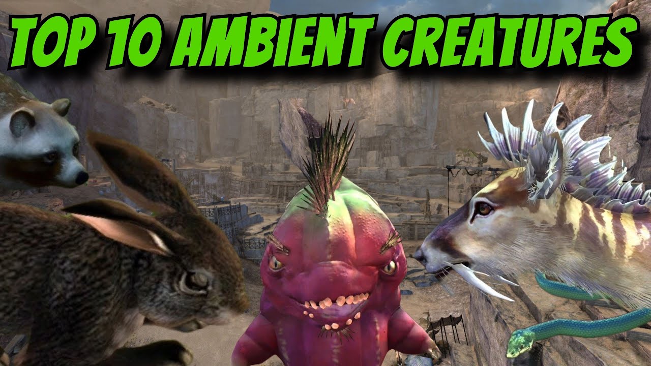 Top 10 AMBIENT CREATURES in Guild Wars 2 - YouTube