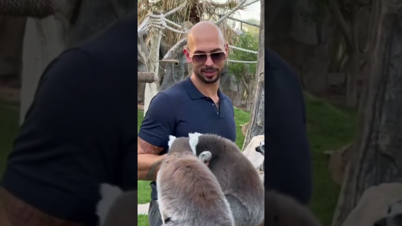 Cobra Lord of Animals.