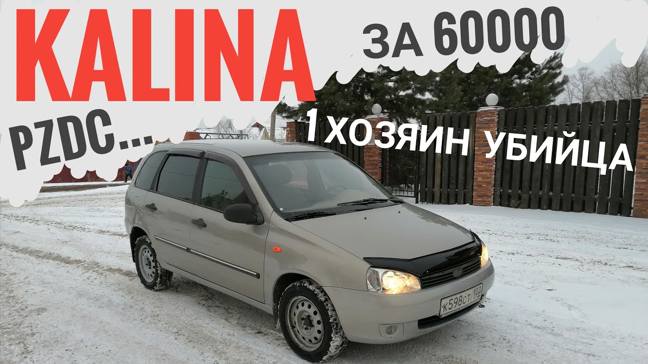 Калина с кондером