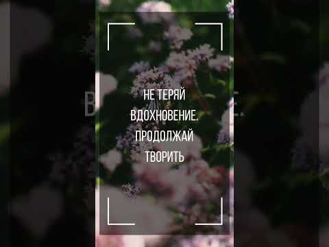 Впереди счастье☺✨ Главное верить❤ #музыкальнаяоткрытка #youtubeshorts #счастьерядом #впередисчастье