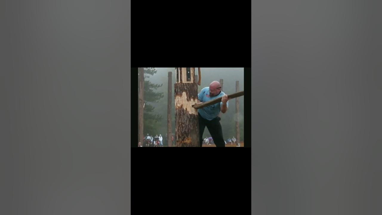 Игорь виолин скрипичный мастер. Профессия столяр. Музей забытой музыки воронеж. Композитор романа. Профессия плотник.