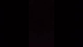 Baby Elephant Trumpet