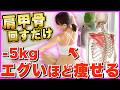 肩甲骨を回すだけ!全身が変わる肩甲骨はがし体操【成功者続出】