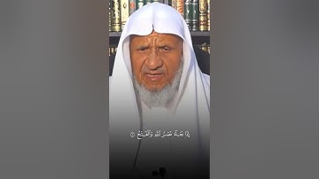 سورة النصر بصوت الشيخ أحمد خليل شاهين | تلاوة جميلة جداً