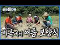 이런 귀한거 먹고 살면 안 건강할 수가 없겠다. 즉석에서 통발 만들어 잡은 고기로 직접 캔 삼 팍팍 넣고 끓인 여름 원기 회복 보양식|한국기행|#골라듄다큐