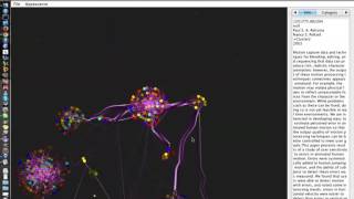 Citation Network 1 (Rina Nakazawa)