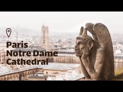 Лувр. Собор Парижской богоматери. Пер-Лашез. Февраль 2020. Лувр. Собор Парижской богоматери. Пер-Лашез. Февраль 2020.