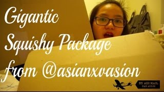 GIGANTIC RARE SQUISHY PACKAGE (Part 1) || Jezrynne Eng