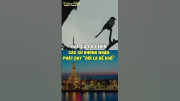 Đại gia cho tiền - sư không nhận - đời là bể khổ #suminhtue