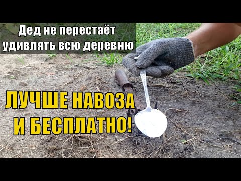 1 Ложка Этого