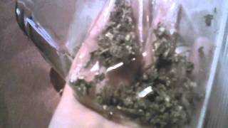 Alot of good weed
