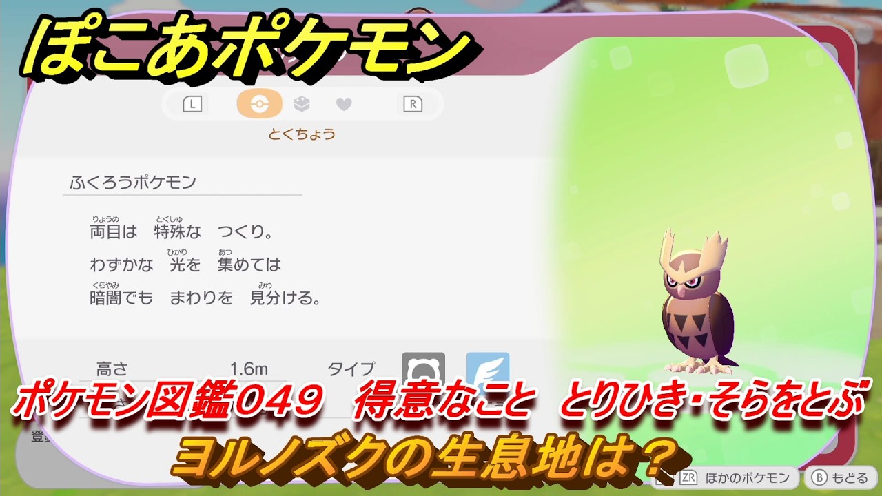 ぽこあポケモン ヨルノズクの生息地は？ ポケモン図鑑049 得意な