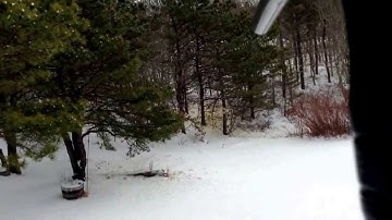 Geo w/ soft touch bolt