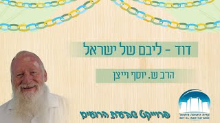 דוד - ליבם של ישראל | הרב ש.יוסף וייצן | שבעת הרועים