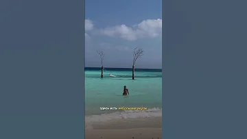 Цена отдыха на Мальдивах