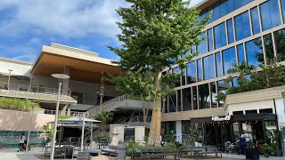 Miami LIVE Exploring Coconut Grove (February 22, 2021)