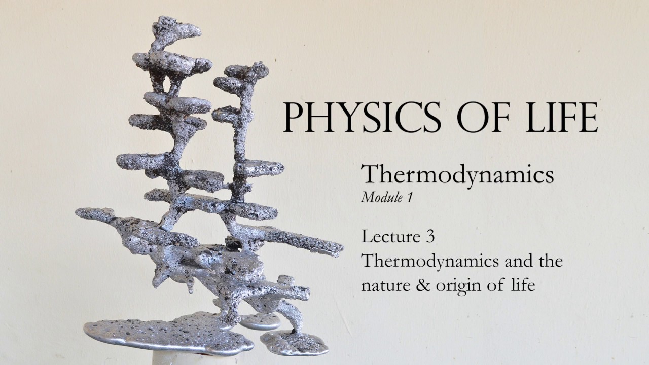 Lecture 11. Introduction to thermodynamics and the origin of life - YouTube