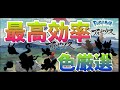 【最高効率】大量発生周回で色違い厳選【ポケモンレジェンズアルセウス Pokémon LEGENDS】
