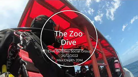 The Zoo Dive 26/12/2022