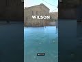 LO SIENTO WILSON!