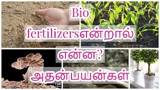 Bio fertilizers என்றால் என்ன? எதற்கு பயன்படுத்தனும்